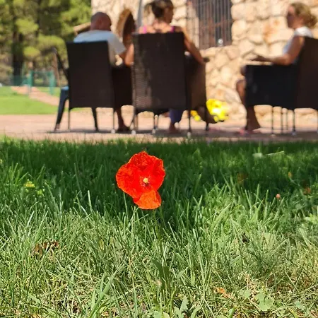 Casa rural Valdemarin Rural *